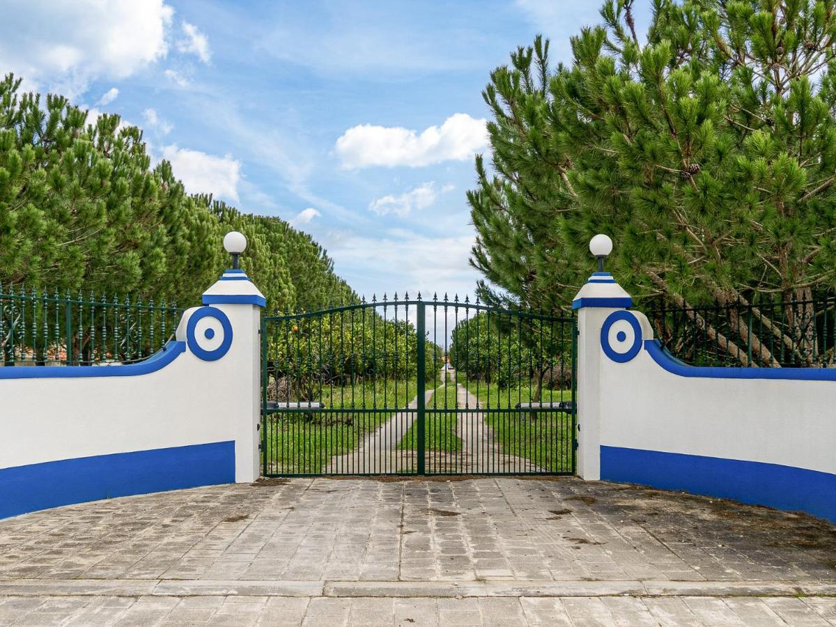 Santo Estevao  Quinta Do Cutato - Beatriz Guest House - Sotao מראה חיצוני תמונה