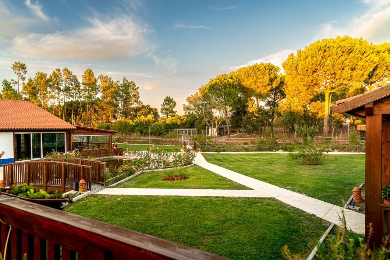 Santo Estevao  Quinta Do Cutato - Beatriz Guest House - Sotao מראה חיצוני תמונה